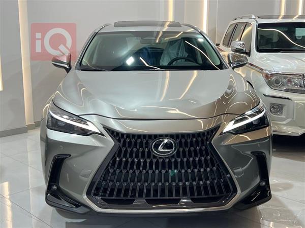 لێکزس NX 2024  بۆ فرۆشتن لە عێراق - هەولێر